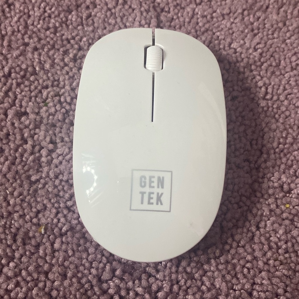 Mouse